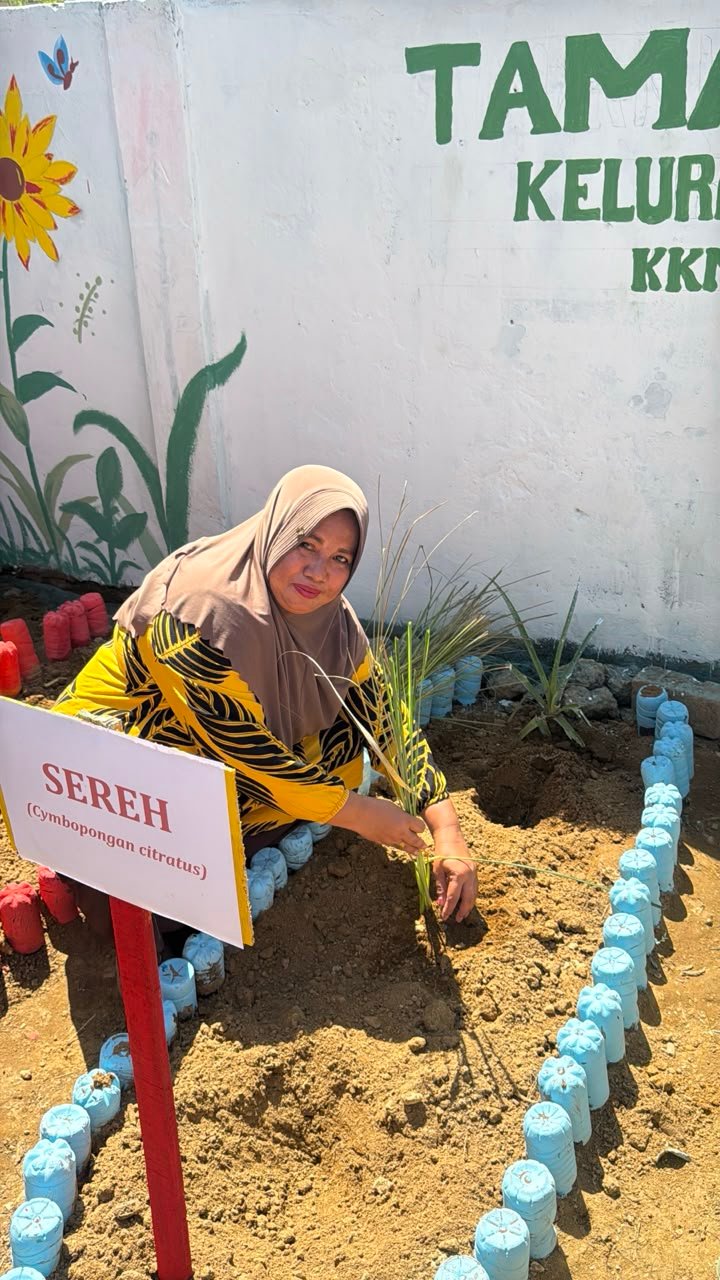 Penanaman Tanaman Obat Keluarga (TOGA) — Foto 1
